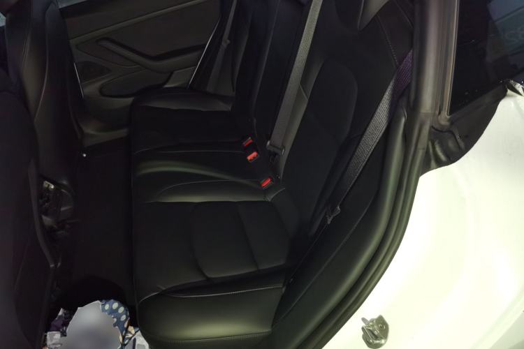 Used Tesla Model 3 2020 Refreshed Version Long-Range Rear-Wheel Drive Left Rear Seat
