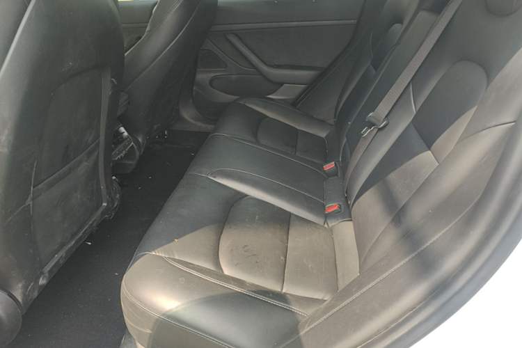Used Tesla Model 3 2020 Revised Version Standard Range Rear-Wheel Drive – Upgraded Edition Left Rear Seat