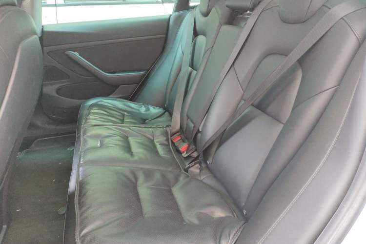 Used Tesla Model 3 2020 Standard Range Rear-Wheel Drive Upgraded Version Left Rear Seat