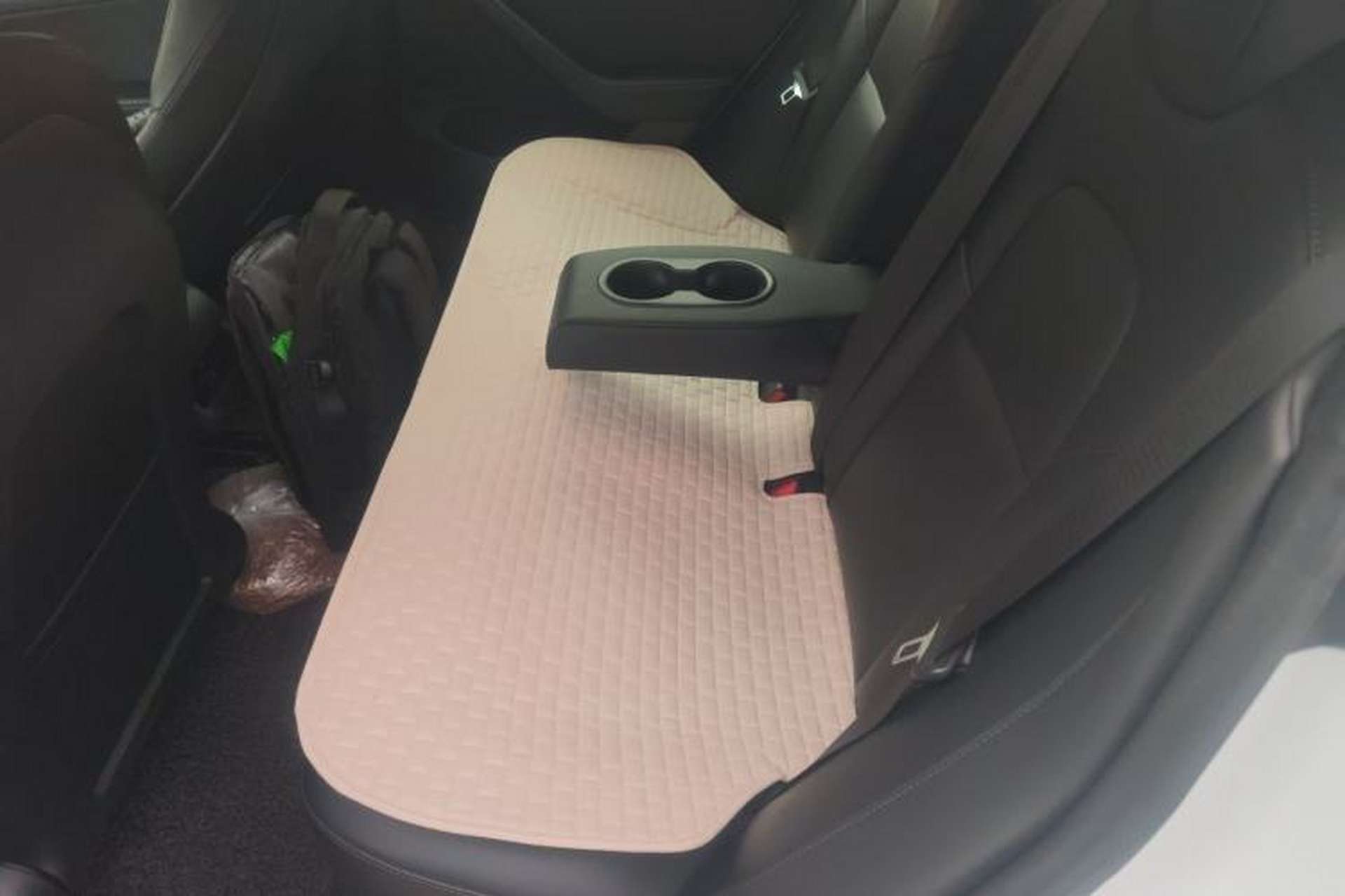 Used Tesla Model 3 2020 Standard Range Rear-Wheel Drive Upgraded Version Left Rear Seat