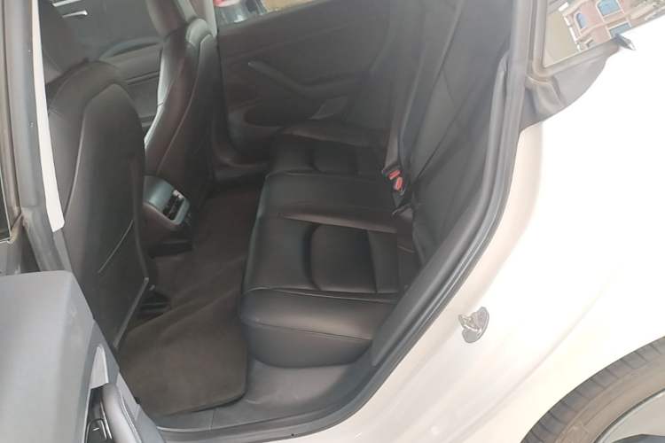 Used Tesla Model 3 2020 Standard Range Rear-Wheel Drive Upgraded Version Left Rear Seat