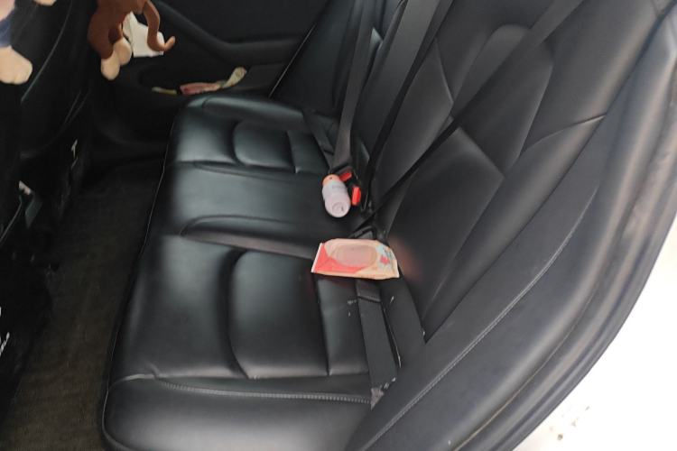 Used Tesla Model 3 2020 Revised Version Standard Range Rear-Wheel Drive – Upgraded Edition Left Rear Seat