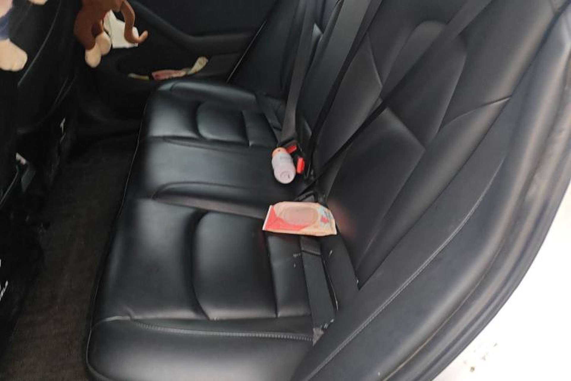 Used Tesla Model 3 2020 Revised Version Standard Range Rear-Wheel Drive – Upgraded Edition Left Rear Seat