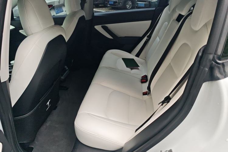 Used Tesla Model 3 2020 Revised Version Standard Range Rear-Wheel Drive – Upgraded Edition Left Rear Seat