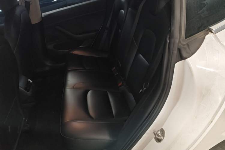 Used Tesla Model 3 2020 Refreshed Version Long-Range Rear-Wheel Drive Left Rear Seat