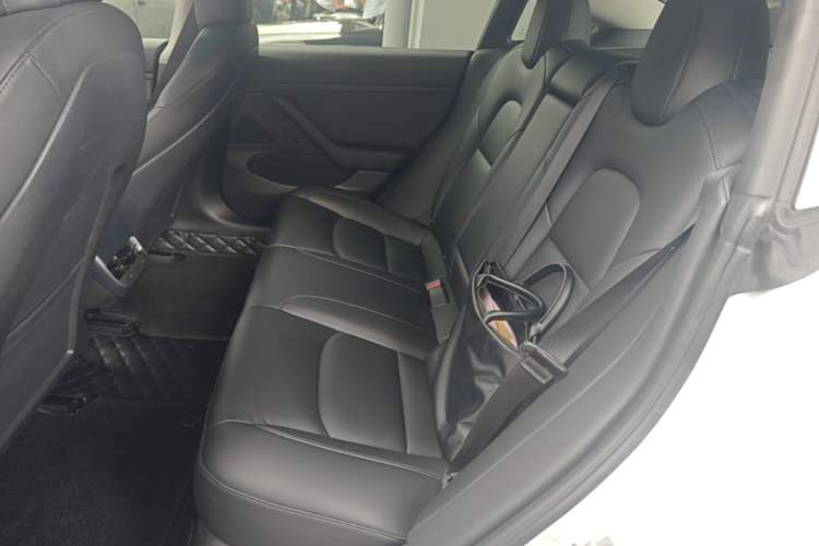 Used Tesla Model 3 2020 Revised Version Standard Range Rear-Wheel Drive – Upgraded Edition Left Rear Seat