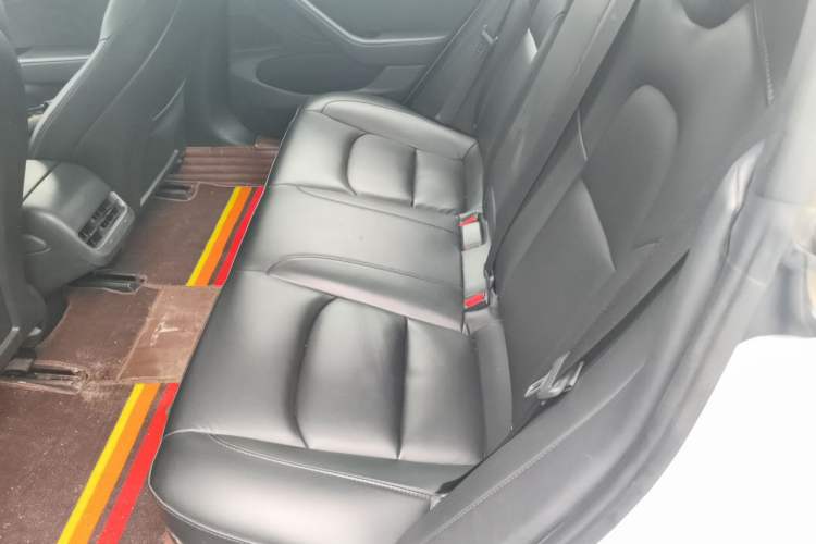 Used Tesla Model 3 2020 Standard Range Rear-Wheel Drive Upgraded Version Left Rear Seat