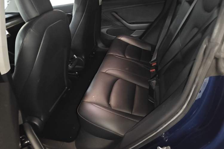 Used Tesla Model 3 2020 Standard Range Rear-Wheel Drive Upgraded Version Left Rear Seat