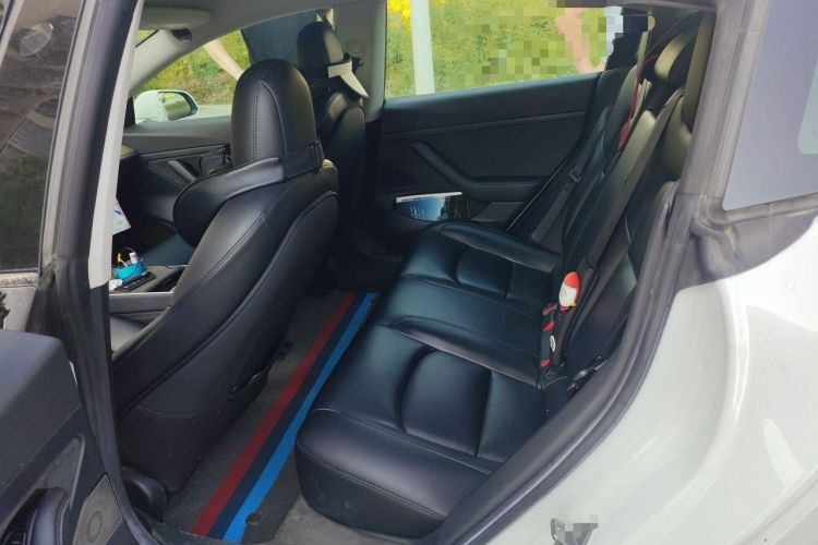 Used Tesla Model 3 2020 Standard Range Rear-Wheel Drive Upgraded Version Left Rear Seat