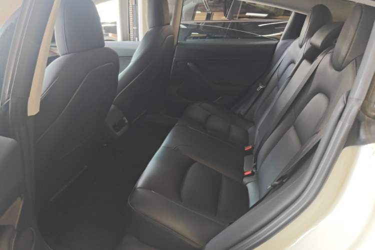 Used Tesla Model 3 2020 Standard Range Rear-Wheel Drive Upgraded Version Left Rear Seat