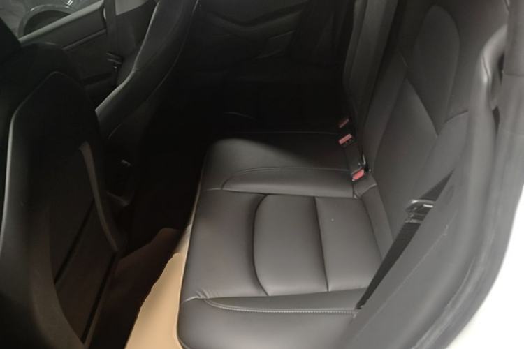 Used Tesla Model 3 2020 Revised Version Standard Range Rear-Wheel Drive – Upgraded Edition Left Rear Seat