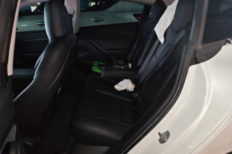 Used Tesla Model 3 2020 Standard Range Rear-Wheel Drive Upgraded Version Left Rear Seat