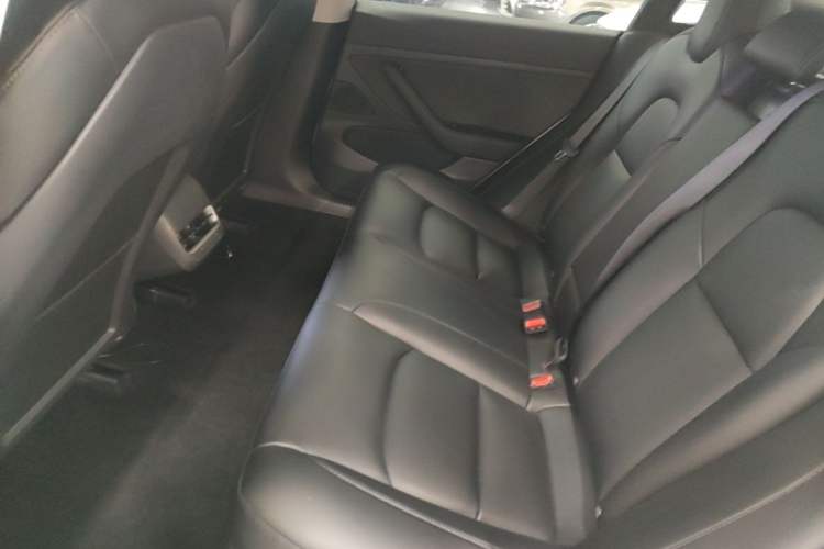 Used Tesla Model 3 2020 Standard Range Rear-Wheel Drive Upgraded Version Left Rear Seat