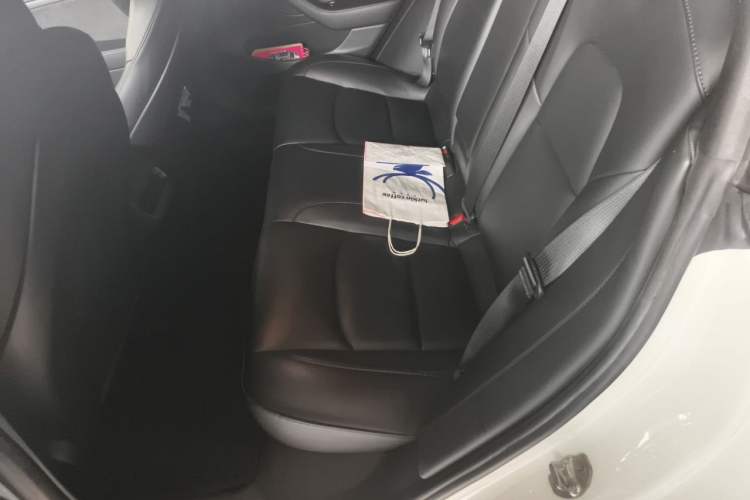 Used Tesla Model 3 2020 Standard Range Rear-Wheel Drive Upgraded Version Left Rear Seat