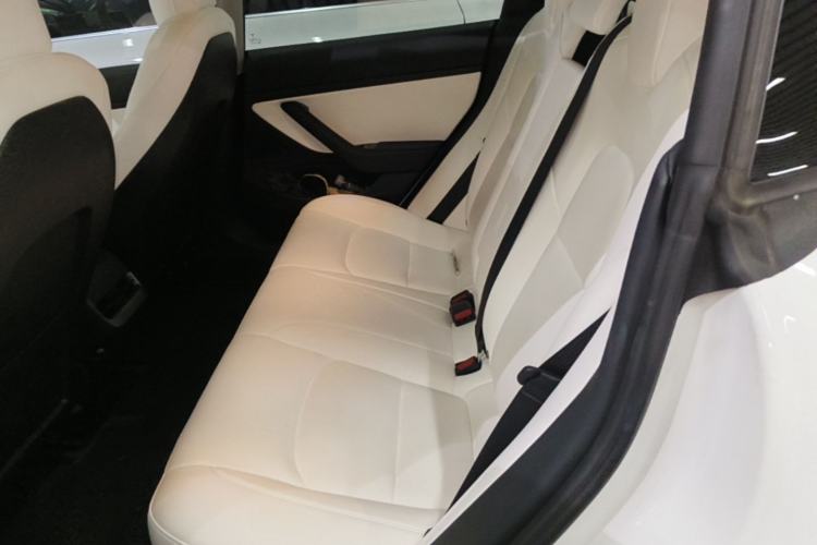 Used Tesla Model 3 2020 Refreshed Version Long-Range Rear-Wheel Drive Left Rear Seat