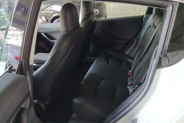 Used Tesla Model 3 2020 Standard Range Rear-Wheel Drive Upgraded Version Left Rear Seat