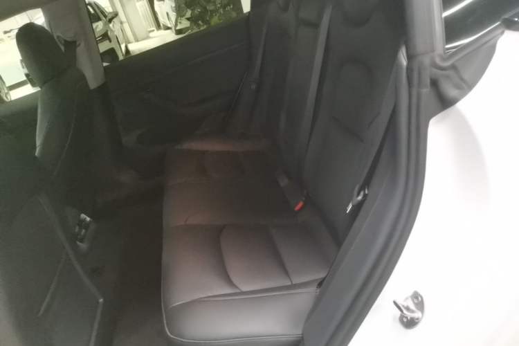 Used Tesla Model 3 2020 Revised Version Standard Range Rear-Wheel Drive – Upgraded Edition Left Rear Seat