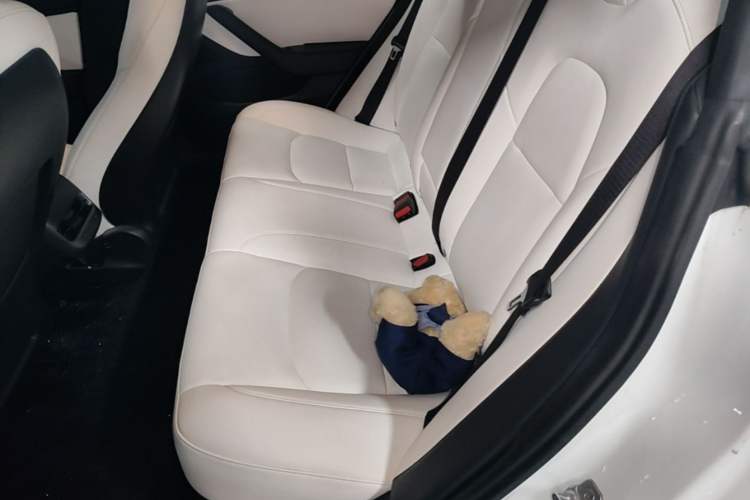 Used Tesla Model 3 2020 Revised Version Standard Range Rear-Wheel Drive – Upgraded Edition Left Rear Seat