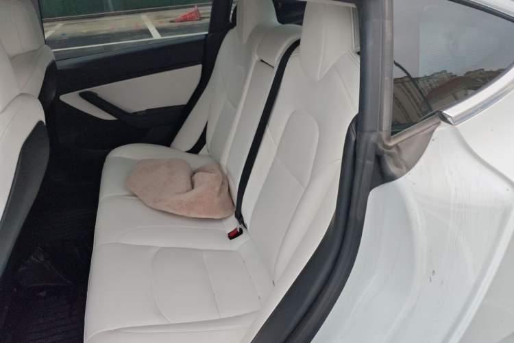 Used Tesla Model 3 2020 Standard Range Rear-Wheel Drive Upgraded Version Left Rear Seat