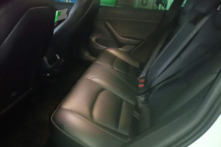 Used Tesla Model 3 2020 Standard Range Rear-Wheel Drive Upgraded Version Left Rear Seat