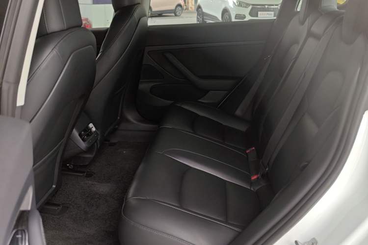 Used Tesla Model 3 2020 Revised Version Standard Range Rear-Wheel Drive – Upgraded Edition Left Rear Seat