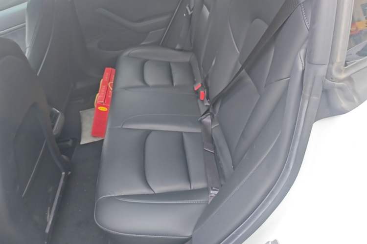 Used Tesla Model 3 2020 Standard Range Rear-Wheel Drive Upgraded Version Left Rear Seat