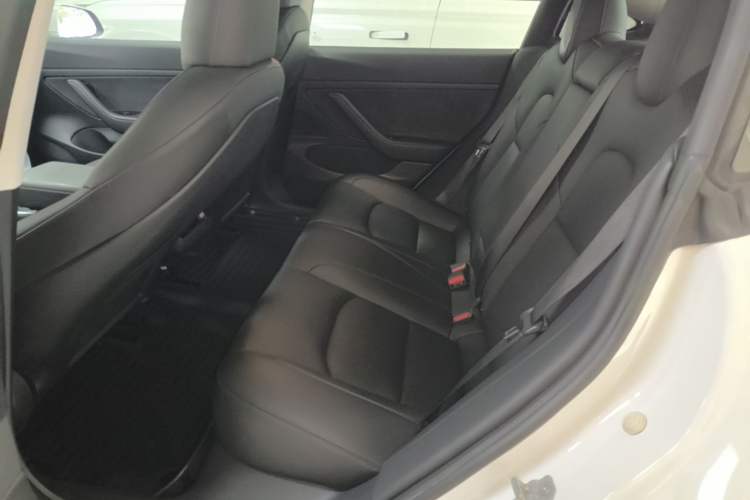 Used Tesla Model 3 2020 Revised Version Standard Range Rear-Wheel Drive – Upgraded Edition Left Rear Seat
