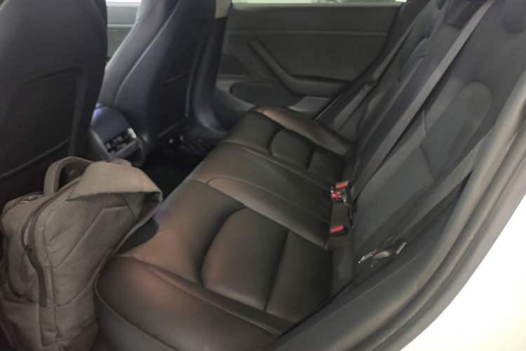 Used Tesla Model 3 2020 Standard Range Rear-Wheel Drive Upgraded Version Left Rear Seat