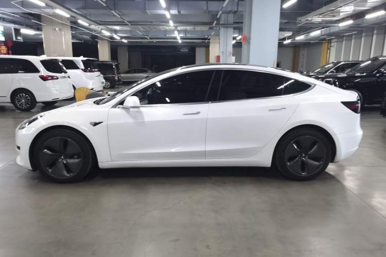 Used Tesla Model 3 2020 Revised Version Standard Range Rear-Wheel Drive – Upgraded Edition Left Side