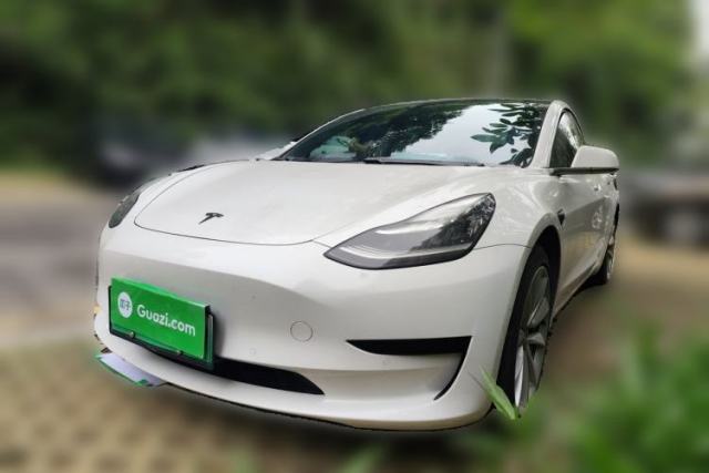Used Tesla Model 3 2020 Standard Range Rear-Wheel Drive Upgraded Version