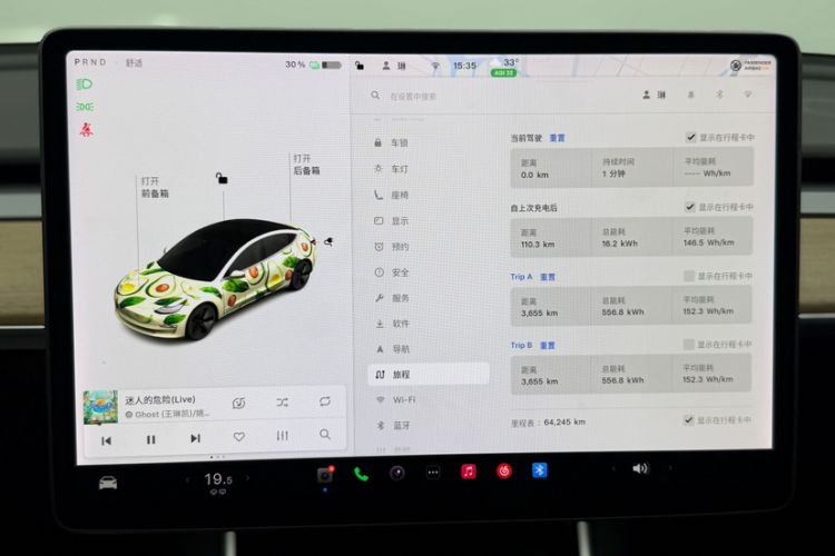 Used Tesla Model 3 2020 Standard Range Rear-Wheel Drive Upgraded Version Odometer Close Up