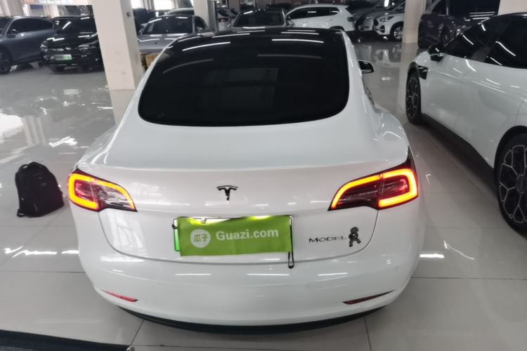 Used Tesla Model 3 2020 Standard Range Rear-Wheel Drive Upgraded Version Rear