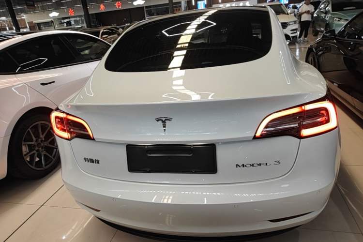 Used Tesla Model 3 2020 Standard Range Rear-Wheel Drive Upgraded Version Rear