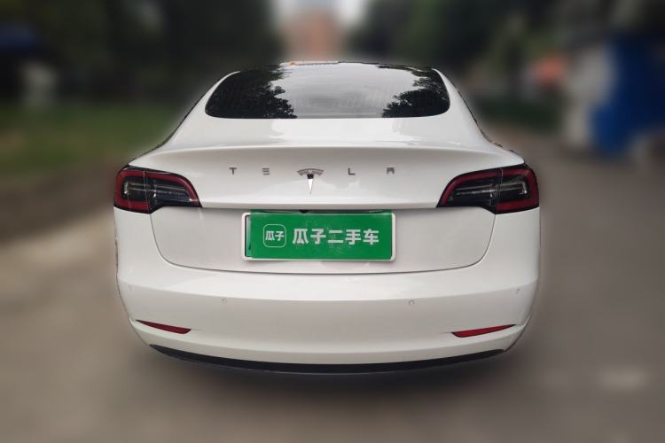 Used Tesla Model 3 2020 Standard Range Rear-Wheel Drive Upgraded Version Rear