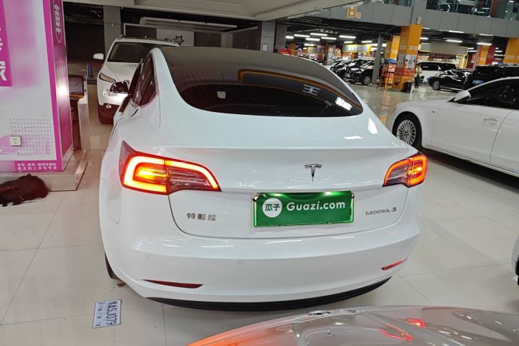 Used Tesla Model 3 2020 Standard Range Rear-Wheel Drive Upgraded Version Rear