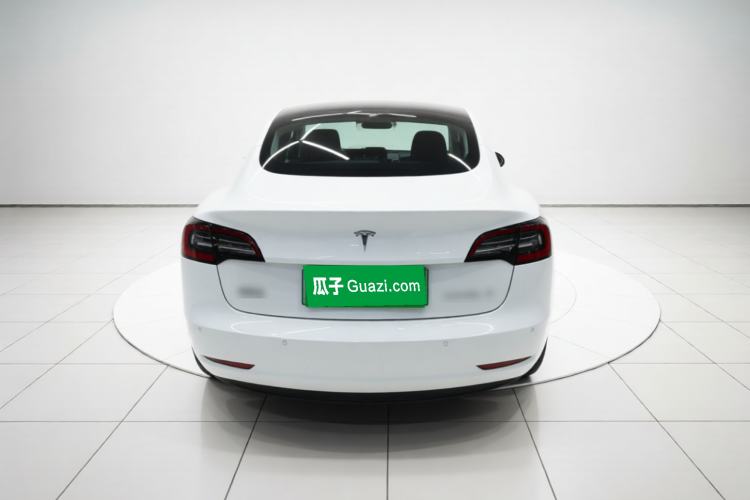 Used Tesla Model 3 2020 Standard Range Rear-Wheel Drive Upgraded Version Rear