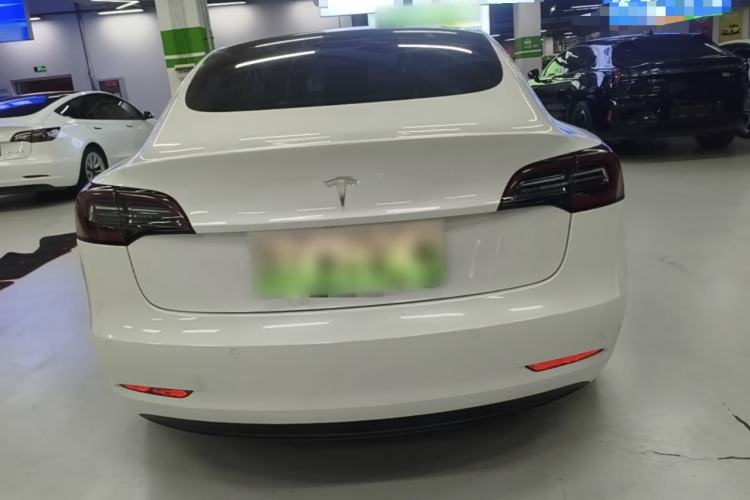 Used Tesla Model 3 2020 Standard Range Rear-Wheel Drive Upgraded Version Rear