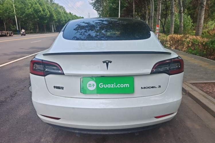 Used Tesla Model 3 2020 Standard Range Rear-Wheel Drive Upgraded Version Rear