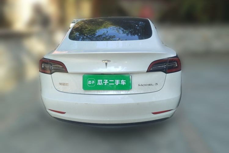 Used Tesla Model 3 2020 Standard Range Rear-Wheel Drive Upgraded Version Rear