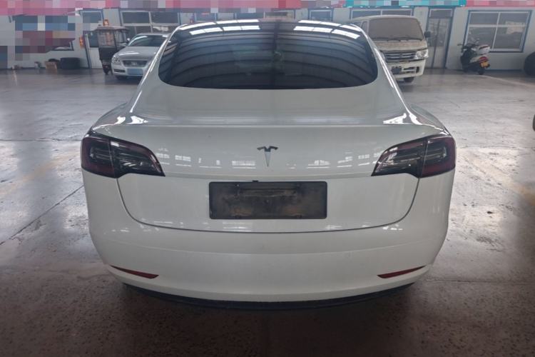 Used Tesla Model 3 2020 Standard Range Rear-Wheel Drive Upgraded Version Rear
