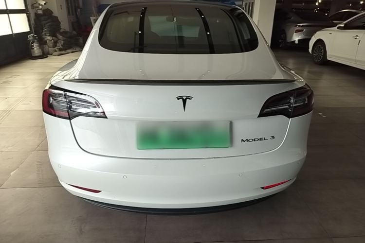 Used Tesla Model 3 2020 Standard Range Rear-Wheel Drive Upgraded Version Rear