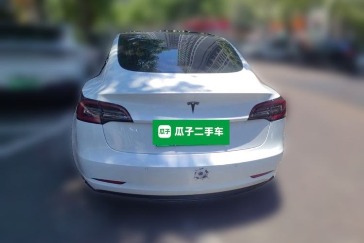 Used Tesla Model 3 2020 Standard Range Rear-Wheel Drive Upgraded Version Rear