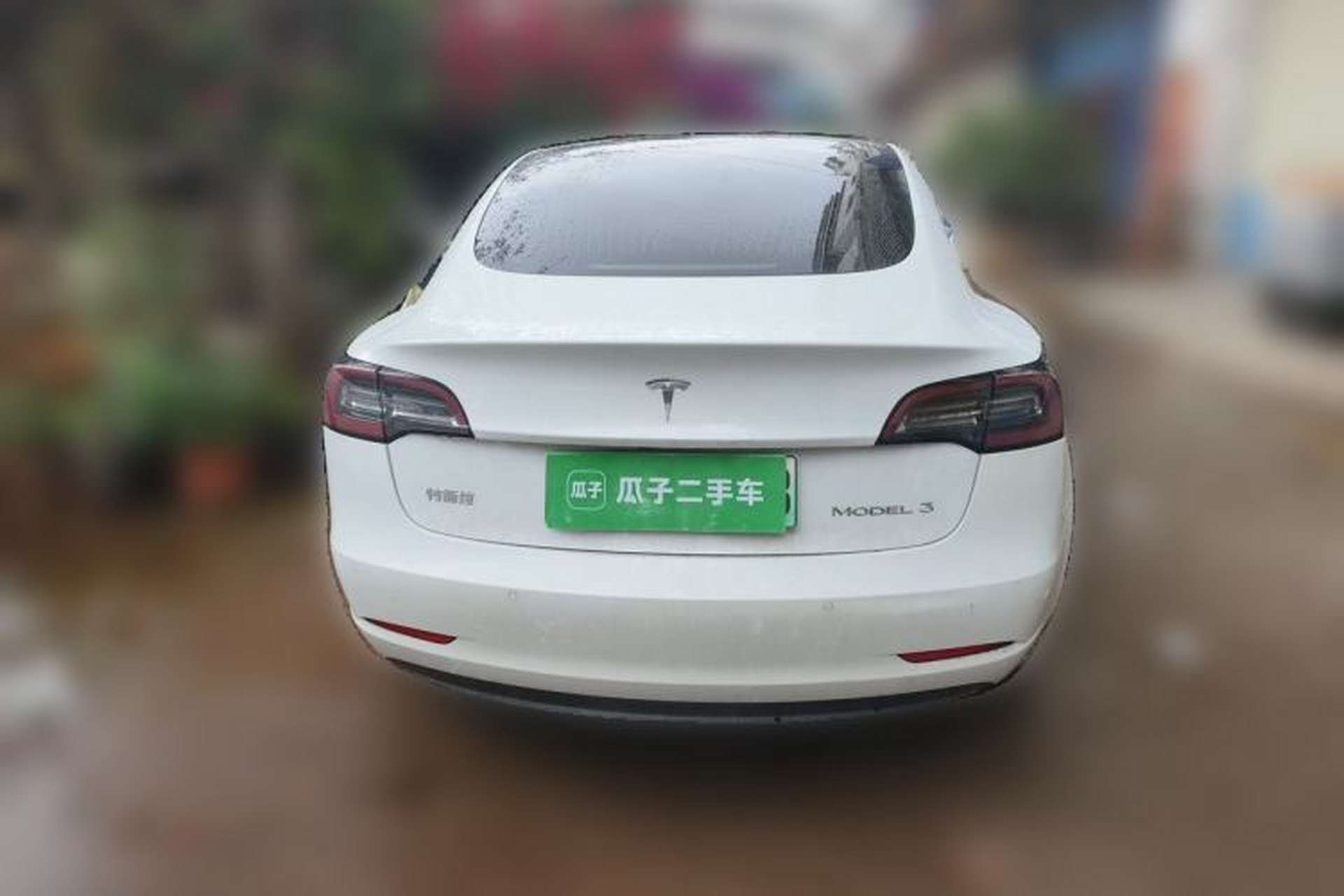 Used Tesla Model 3 2020 Standard Range Rear-Wheel Drive Upgraded Version Rear