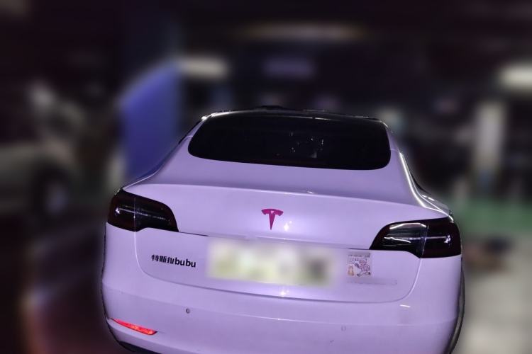 Used Tesla Model 3 2020 Standard Range Rear-Wheel Drive Upgraded Version Rear