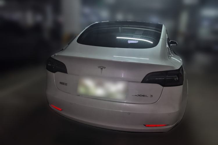 Used Tesla Model 3 2020 Revised Version Standard Range Rear-Wheel Drive – Upgraded Edition Rear