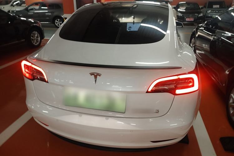 Used Tesla Model 3 2020 Standard Range Rear-Wheel Drive Upgraded Version Rear