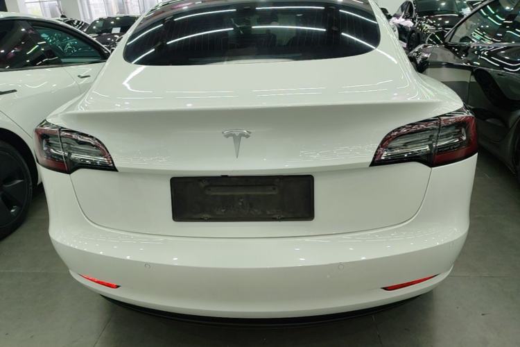 Used Tesla Model 3 2020 Standard Range Rear-Wheel Drive Upgraded Version Rear