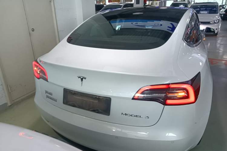 Used Tesla Model 3 2020 Standard Range Rear-Wheel Drive Upgraded Version Rear