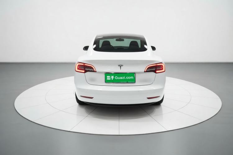 Used Tesla Model 3 2020 Revised Version Standard Range Rear-Wheel Drive – Upgraded Edition Rear