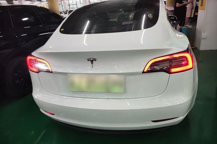 Used Tesla Model 3 2020 Standard Range Rear-Wheel Drive Upgraded Version Rear